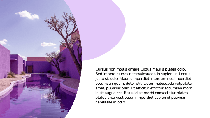 Flat Bubble Purple Vibrant slide 5